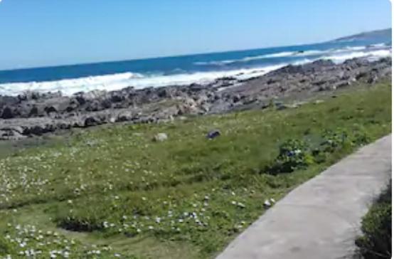 Self Catering Unit 7, Sandbaai Hermanus Ngoại thất bức ảnh