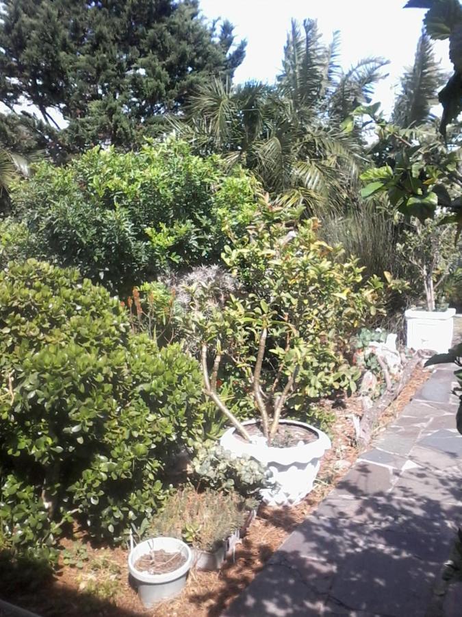Self Catering Unit 7, Sandbaai Hermanus Ngoại thất bức ảnh