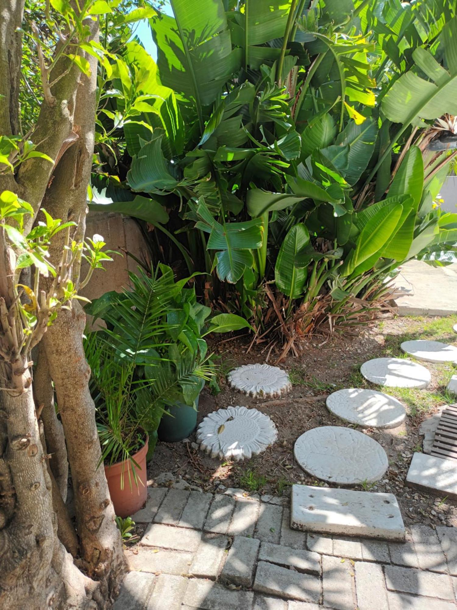 Self Catering Unit 7, Sandbaai Hermanus Phòng bức ảnh